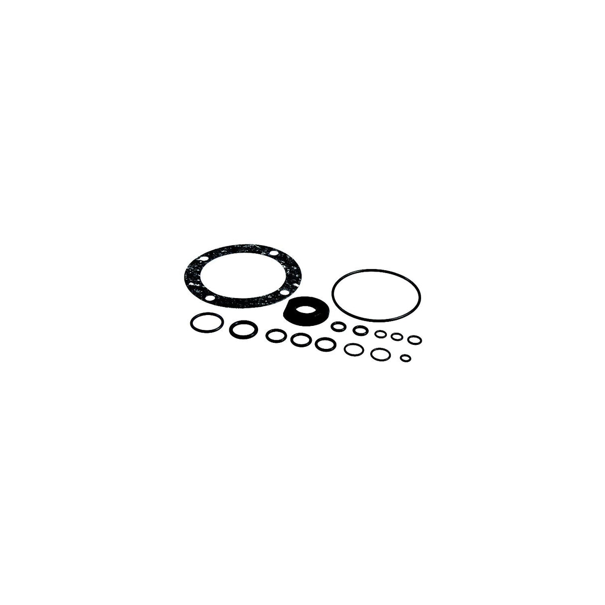 SeaStar HS5161 Seal Kit | Fits Select Capilano Helm Pumps