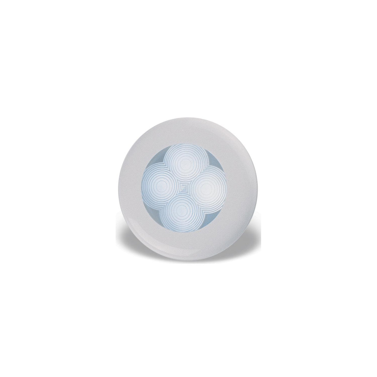 LED Light White w/White Bezel 12V