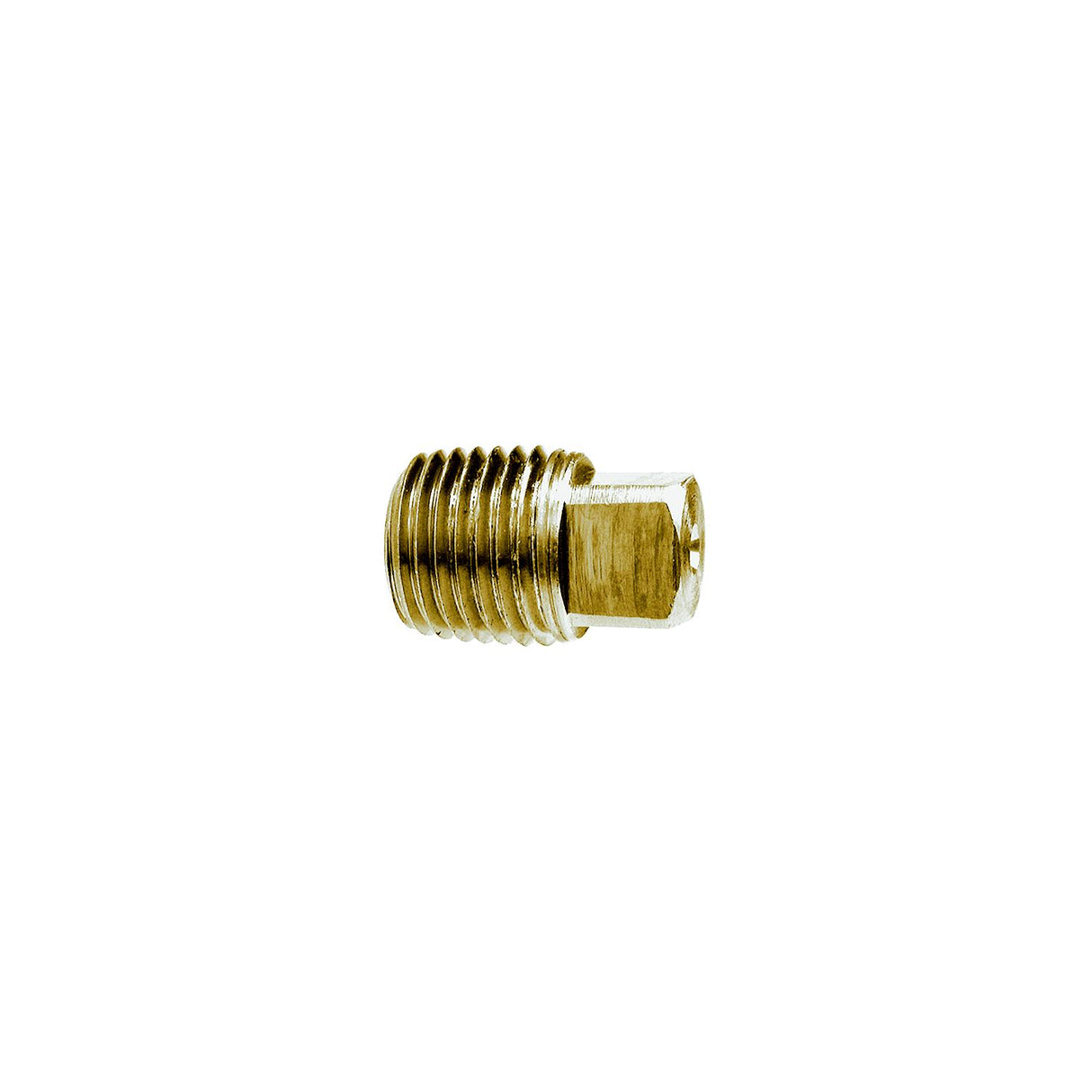1/2 Brass Sq Head Pipe Plug