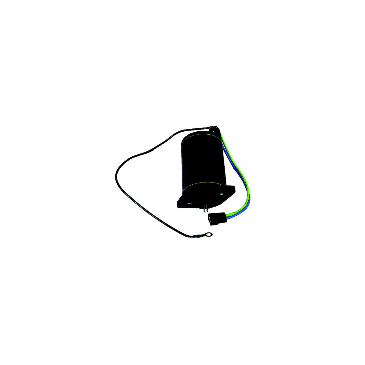 Tilt & Trim Motors