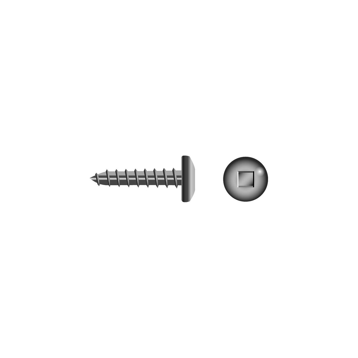 Square Tapping Screw - Pan Head, #8 x 3/4"