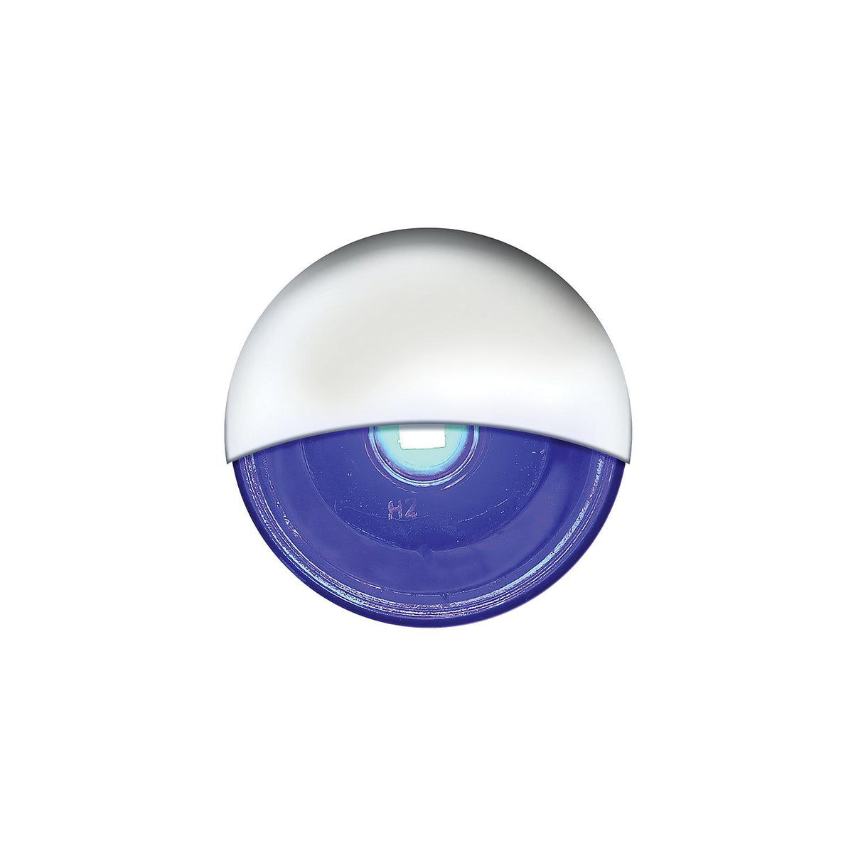 Seachoice Livewell Light, Mini LED Accent, Blue, Waterproof, 50,000 Hours