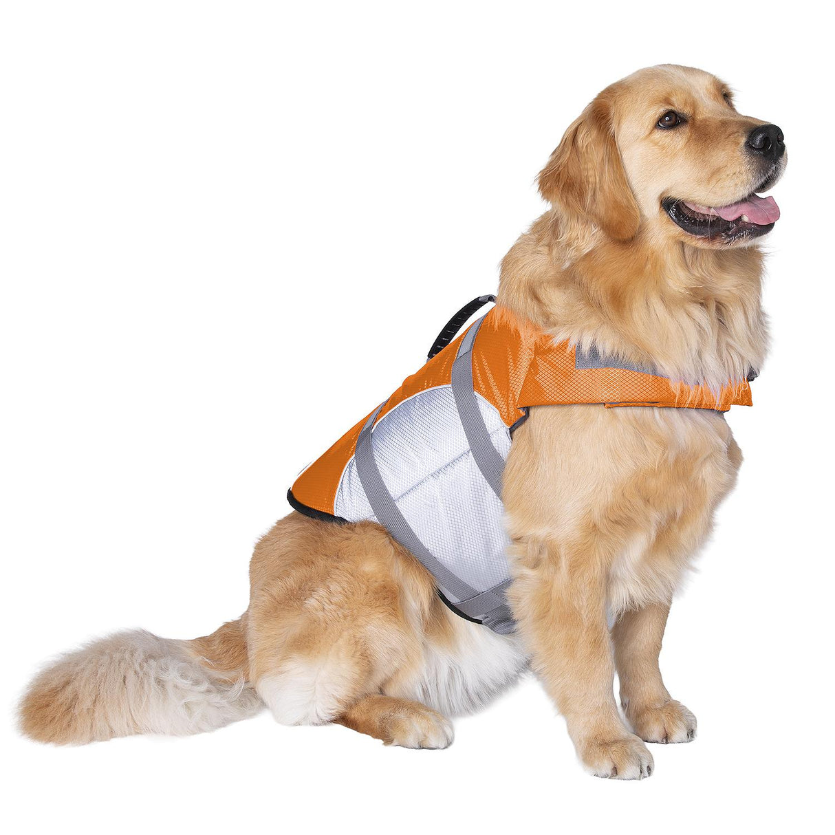 Seachoice 86275 Dog Life Jacket, Color: Orange, Size: XL