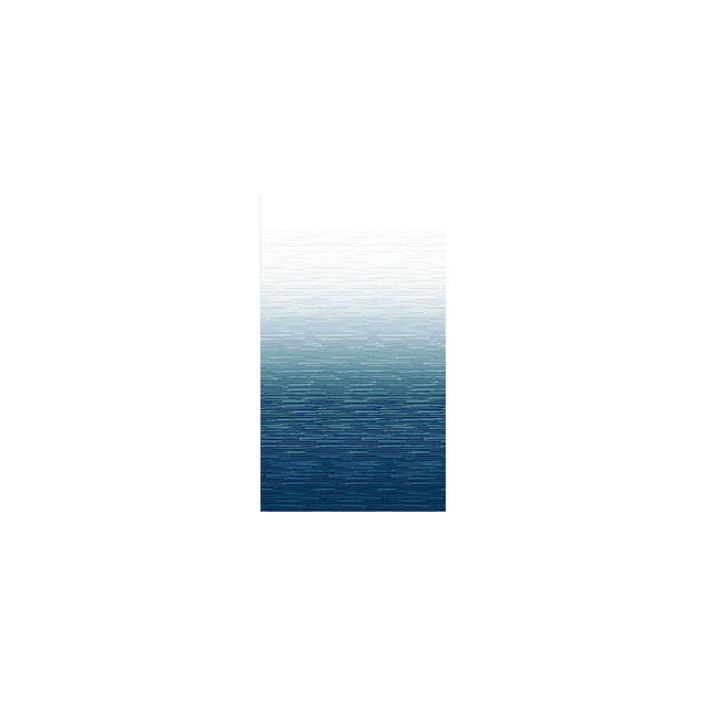 Carefree JU176C00 1-Piece Standard Vinyl Awning Replacement Fabric, 17', Blue Fade on Top Side, White Weatherguard