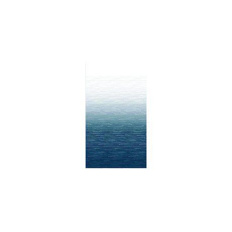 Carefree JU166C00 1-Piece Standard Vinyl Awning Replacement Fabric, 16', Blue Fade on Top Side, White Weatherguard