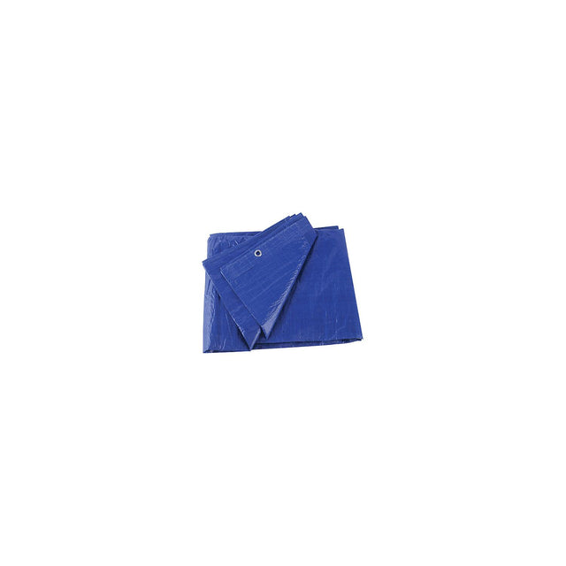 Blue Vinyl Tarp, 10' X 12'