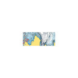 C-Map MNAY200MS Discover Chart, North America