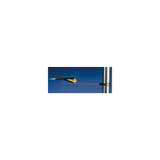 Davis 1295 Black Max Wind Direction Indicator