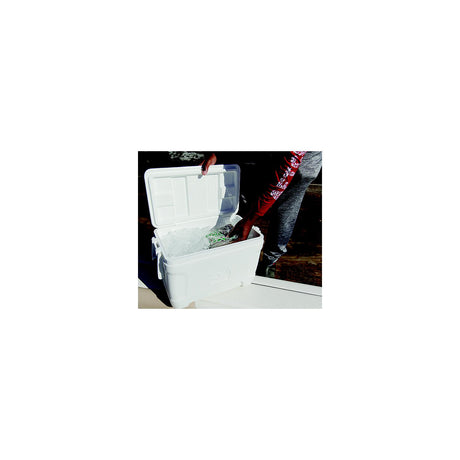 Igloo 50073 Marine Contour Cooler, 120 Qt.