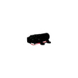 Johnson Pump 10-22020-101 WPS Water Pump 12V, 1.1 GPM