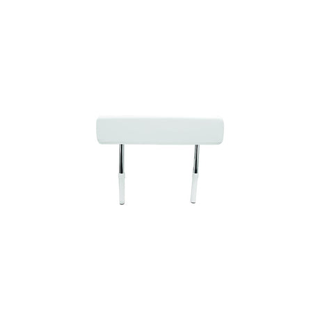 Neptune Leaning Post Backrest
