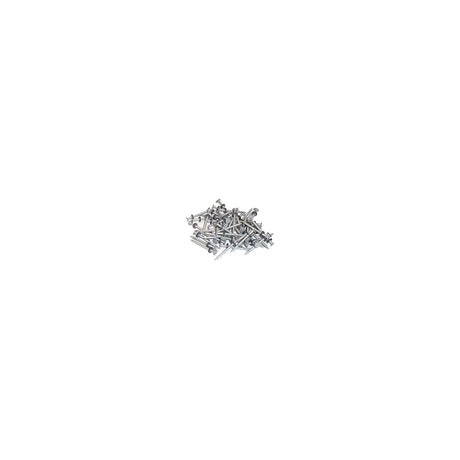 Taylor 96028 Galvanized #6 Nails w/Washers 1/8# 12/Cd