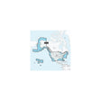 Garmin 0101317700 Navionics+™ Updates For Garmin With Built-In Charts, U.S. & Coastal Canada, microSD™/SD™