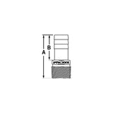 Groco PTH Bronze Standard Flow Pipe-To-Hose Adapter With NPT Thread
