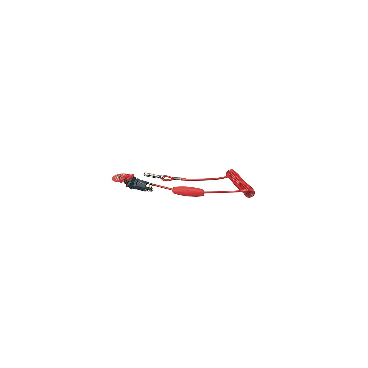 Replacement Lanyard