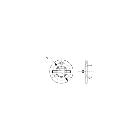 Garboard Drain Plug