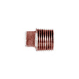 Bronze Square Head Plug, 3/4"