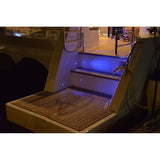 Lumitec 101052 Exuma Direct/360 Degree Courtesy Light, White Case, White LEDs