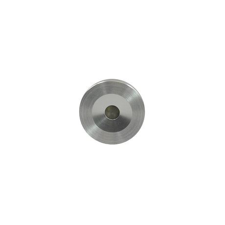 Lumitec 112203 Courtesy/Accent Light, Brushed SS Housing, White Light