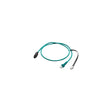 Mastervolt 77060500 Mastervolt CZone Drop Cable, 5m