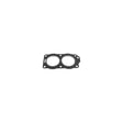 Head Gasket