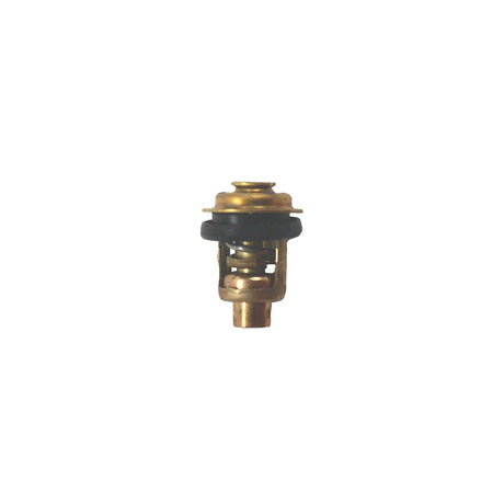 Johnson/Evinrude Thermostat