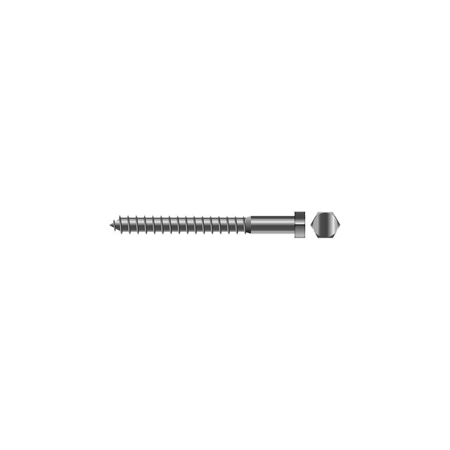 Lag Screw, 5/16 x 5"
