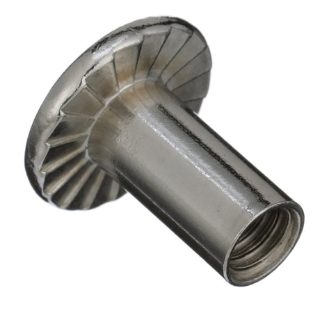 Seachoice 18-8 Stainless Steel Phillips Barrel Nuts w/ Truss Head, 1/4-20 X 5/8 In., Pack of 25