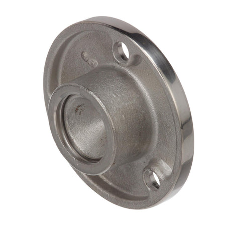 Seachoice Garboard Drain Plug, Stainless Steel, Fits 1/2 In. Pipe, Includes Flange and Plug