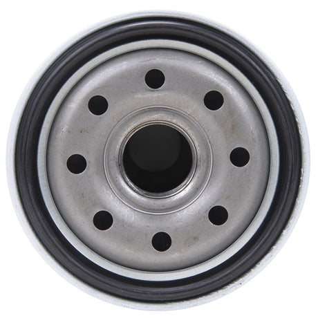 Seachoice 21011 Full-Flow Oil Filter