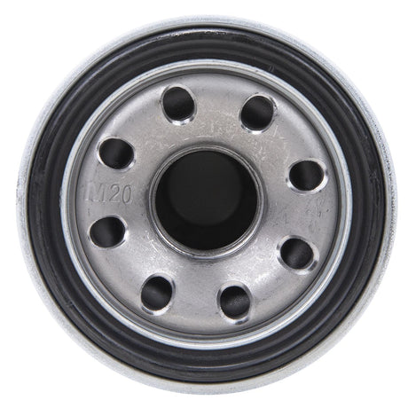 Seachoice 21013 Full-Flow Oil Filter