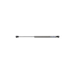 Seachoice Gas Spring, 316 Stainless Steel, 15-9.5 in., 20#