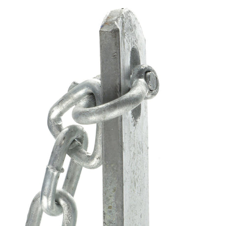 Seachoice Deluxe Anchor Kit, Hot-Dipped Galvanized Steel, Includes Lead Chain, Shackles, 150-Ft. Anchor Line, for Boats 25-30 Ft.