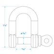 Seachoice D Anchor Shackle, 316 Stainless Steel, 5/16 in.