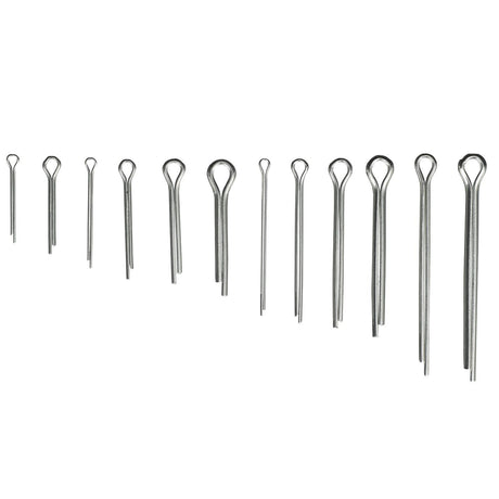 Seachoice Stainless Steel Cotter Pin Kit, 66 Piece