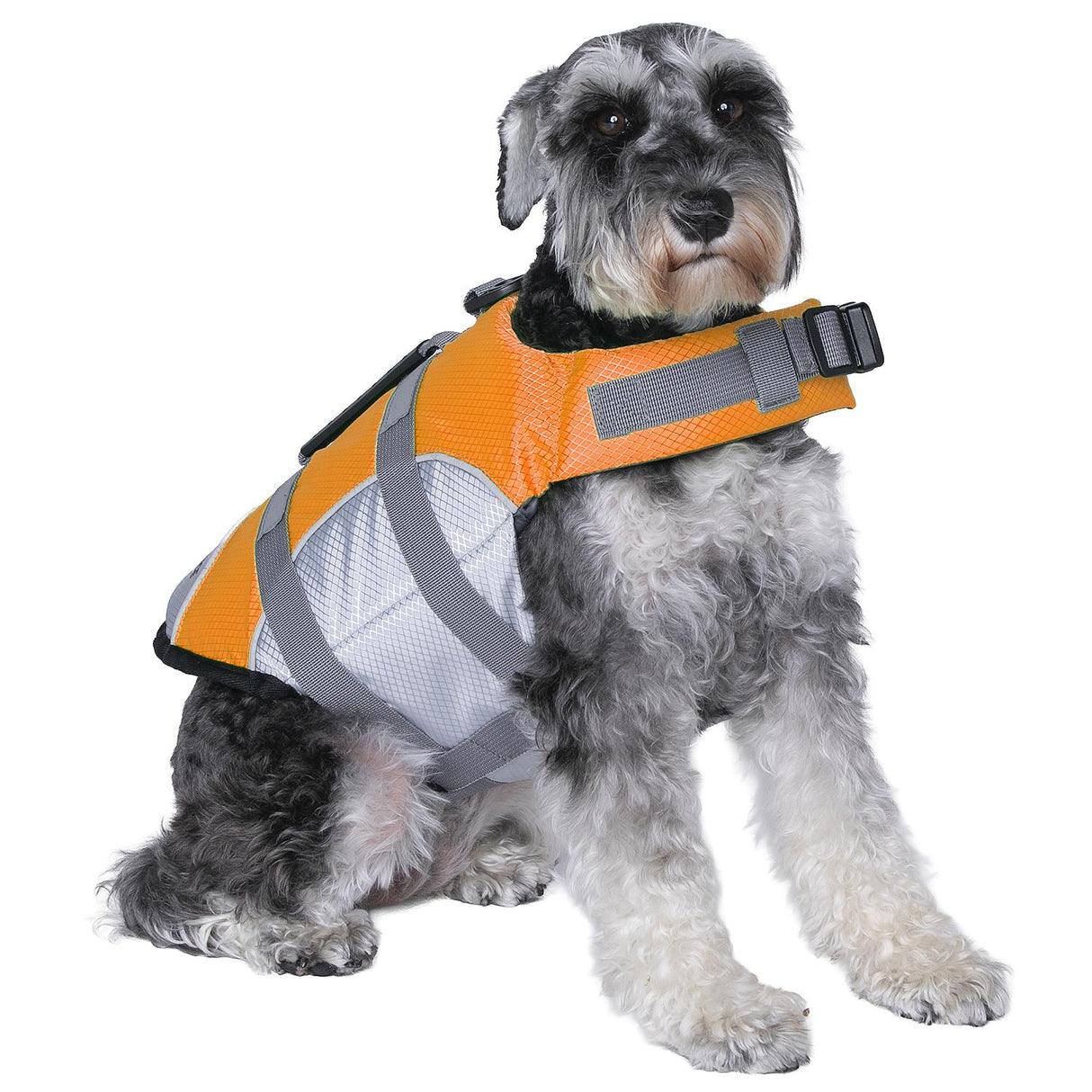 Seachoice 86272 Dog Life Jacket, Color: Orange, Size: S