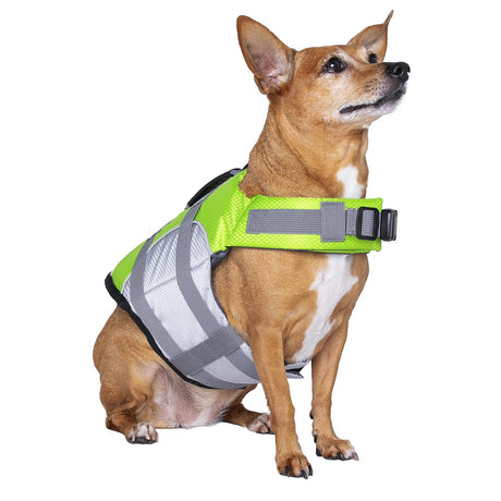 Seachoice 86282 Dog Life Jacket, Color: Green, Size: S