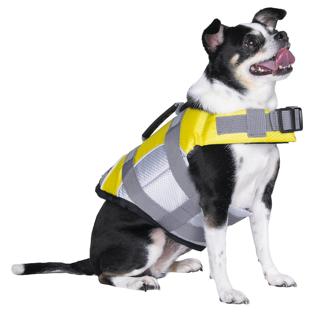 Seachoice 86291 Dog Life Jacket, Color: Yellow, Size: XS