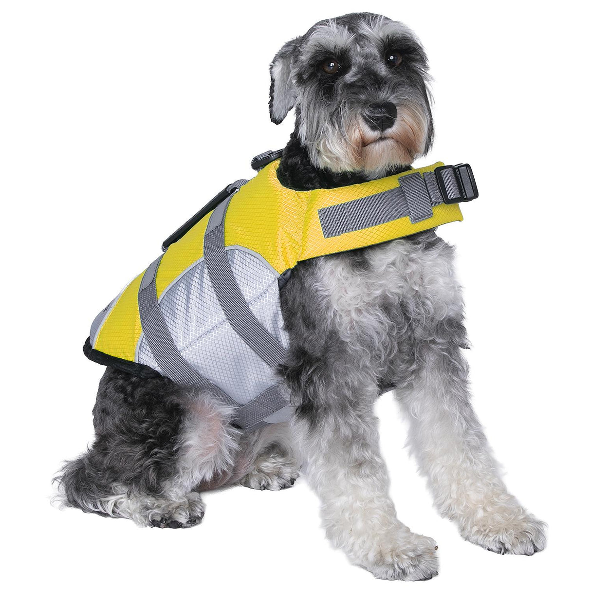 Seachoice 86292 Dog Life Jacket, Color: Yellow, Size: S