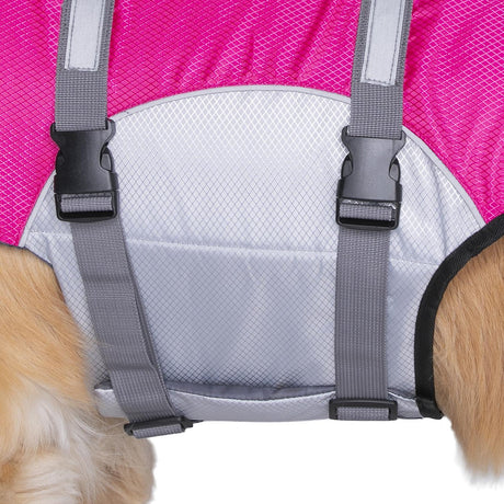 Seachoice 86284 Dog Life Jacket, Color: Green, Size: L