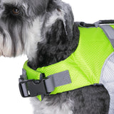 Seachoice 86275 Dog Life Jacket, Color: Orange, Size: XL