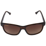 Seachoice 98833 "Oceanbreeze" Polarized Ladies' Sunglasses, Frame: Shiny Tortoise, Lens: Brown Gradient