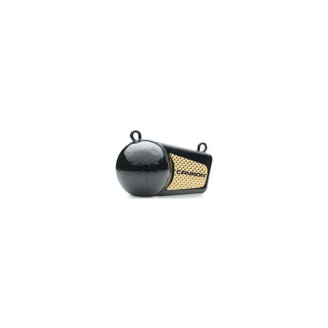 10# Flash Weight