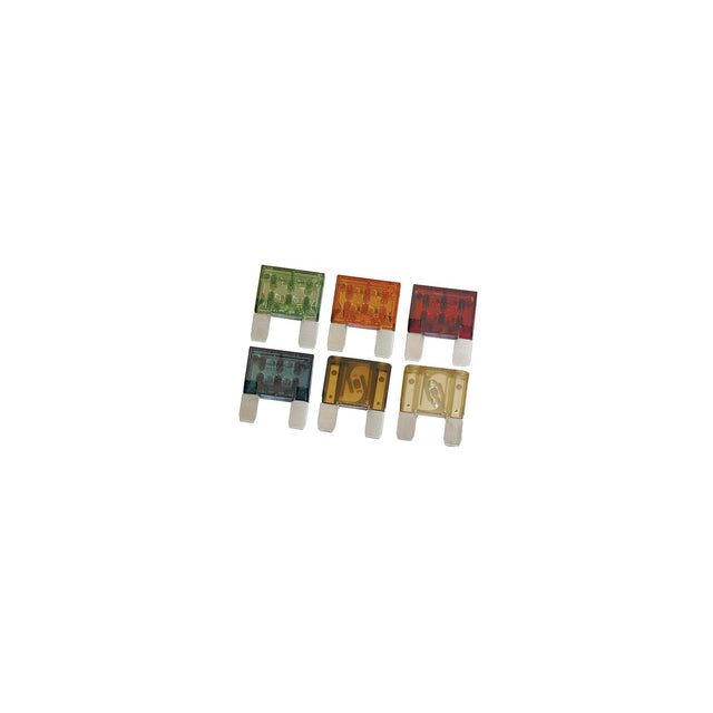 Fuse Maxi 50 Ampere