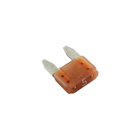 Blue Sea 5286 ATM® Mini Blade Fuse Kit, 1ea 5/10/15/20/30 Amp