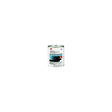 Lightweight Body Filler - Gl