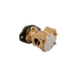 Cummins Diesel Water Pump, P1730C