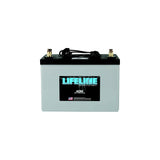 Batteries GPL3100HC AGM Battery - 106AH