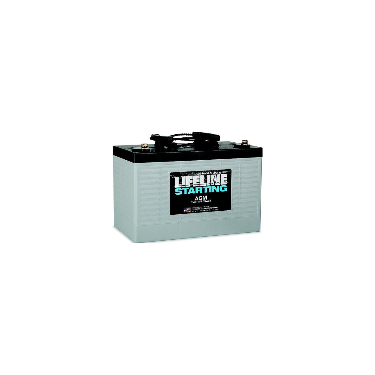 Lifeline LLGPL3100T AGM RV/Marine Starting Battery, 12V, Gorup 31