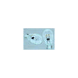 Perko 0338DP1CLR Spare Wedge Bulbs, 2/Card